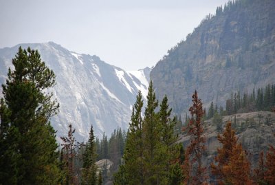 Again, Dramatic Peaks Everywhere