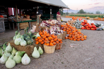 October Color at Munson Farm Stand