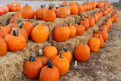 20101003-October 010-s.jpg