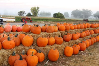 20101003-October 011-s.jpg
