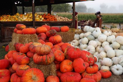 20101003-October 018-s.jpg