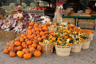 20101003-October 028-s.jpg
