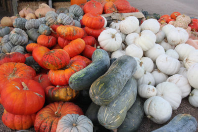 20101003-October 030-s.jpg