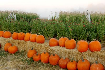 20101003-October 034-s.jpg