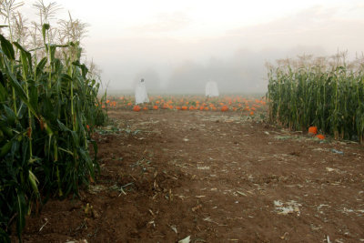20101003-October 039-s.jpg