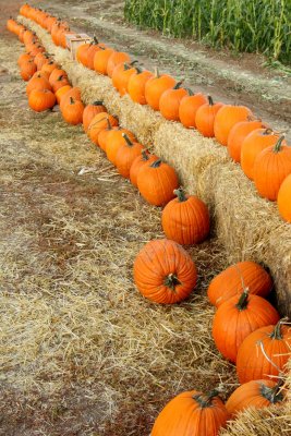 20101003-October 060-s.jpg
