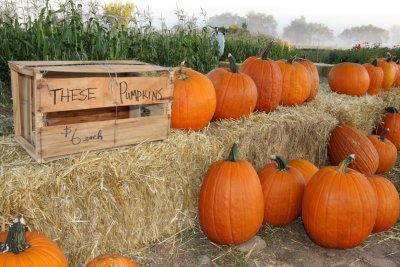 20101003-October 064-s.jpg