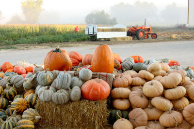 20101003-October 076-s.jpg