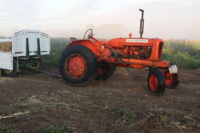 20101003-October 078-s.jpg