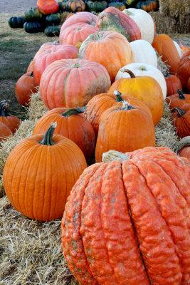 20101003-October 089-s.jpg