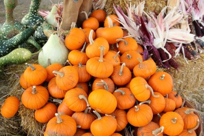 20101003-October 098-s.jpg