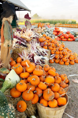 20101003-October 100-s.jpg