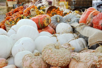 20101003-October 107-s.jpg