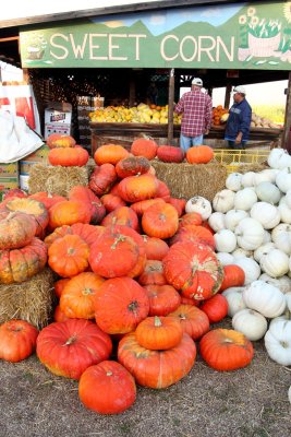 20101003-October 114-s.jpg