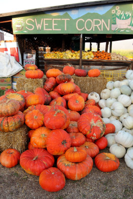 20101003-October 116-s.jpg