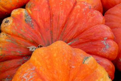 20101003-October 119-s.jpg