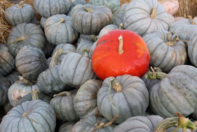 20101003-October 122-s.jpg