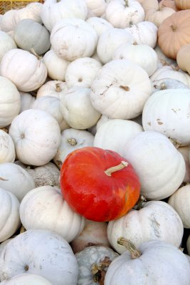 20101003-October 123-s.jpg