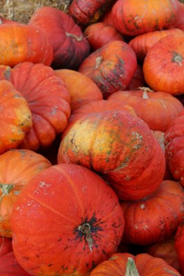 20101003-October 125-s.jpg