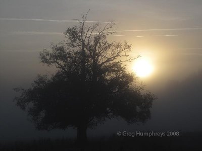 November 4, 2008