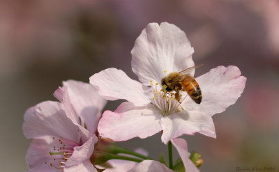 DS6_2759-1b.jpg