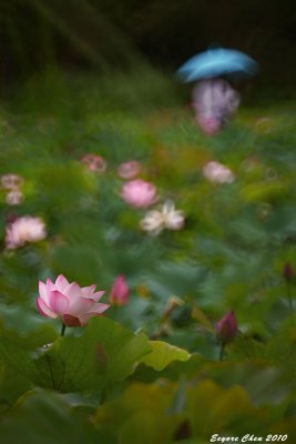 IMG_2140-1b.jpg
