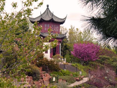China garden.jpg