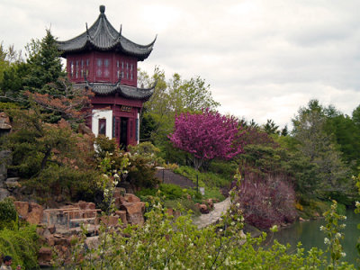 China garden002.jpg