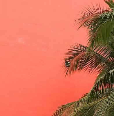 Nha Trang03.jpg