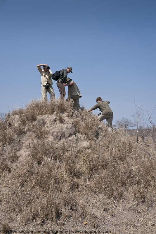 039-Top of Termite Mound