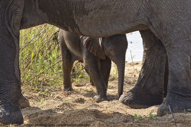 040-Baby Framed by Mom