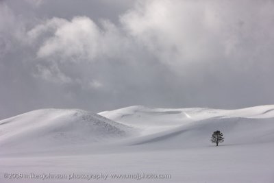 018-Tree in Snow Landscape