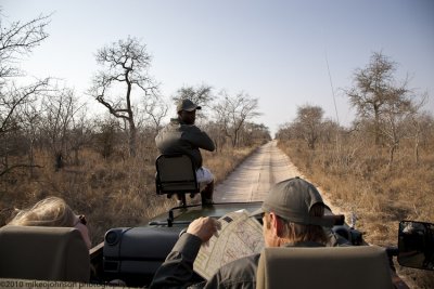 044-On the Game Drive