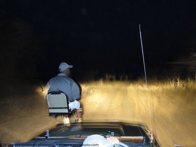 057-Night Game Drive