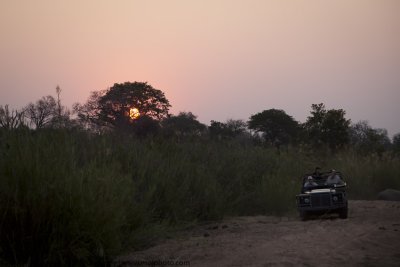 012-Game Drive at Sunset