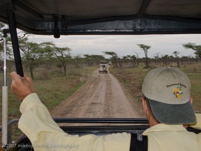 61  On Safari