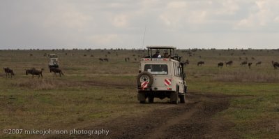 22Cruising the Serengeti Plains