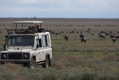26On Safari