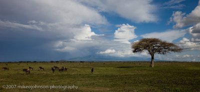 16Serengeti Landscape