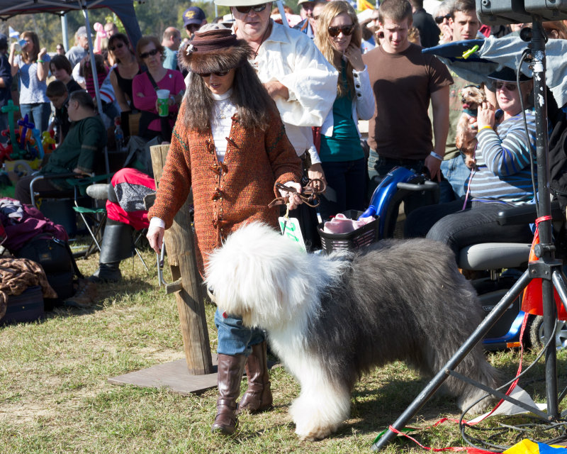 Now THIS Is a Dog of the British Isles!