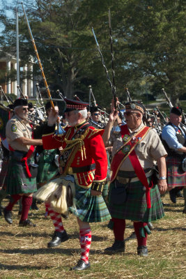 More Celtic Festival
