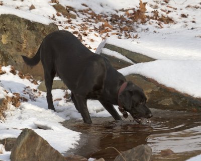 Time for a Drink