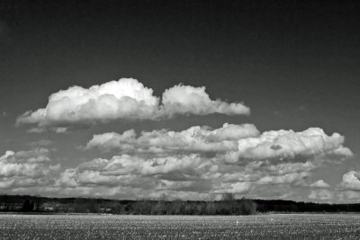 Clouds Over Fields