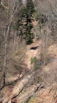 To Hohenberg