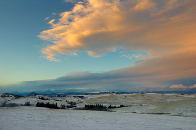 _DSC9690.jpg