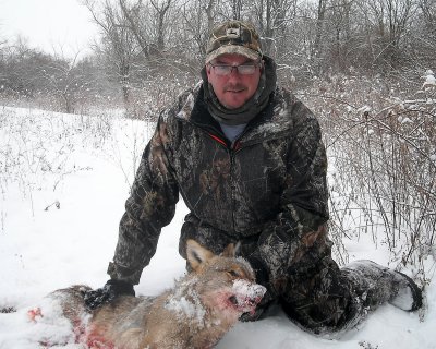 Sean Shirley coaxed this coyote in for Fred McIlrath