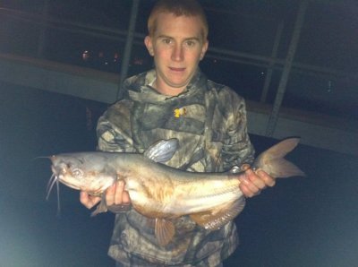 Cole Whitt with a nice catfish