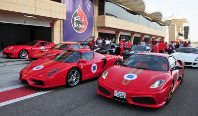 Ferrari_Groupw.JPG