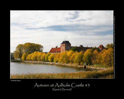 Autumn at Aalholm Castle #3