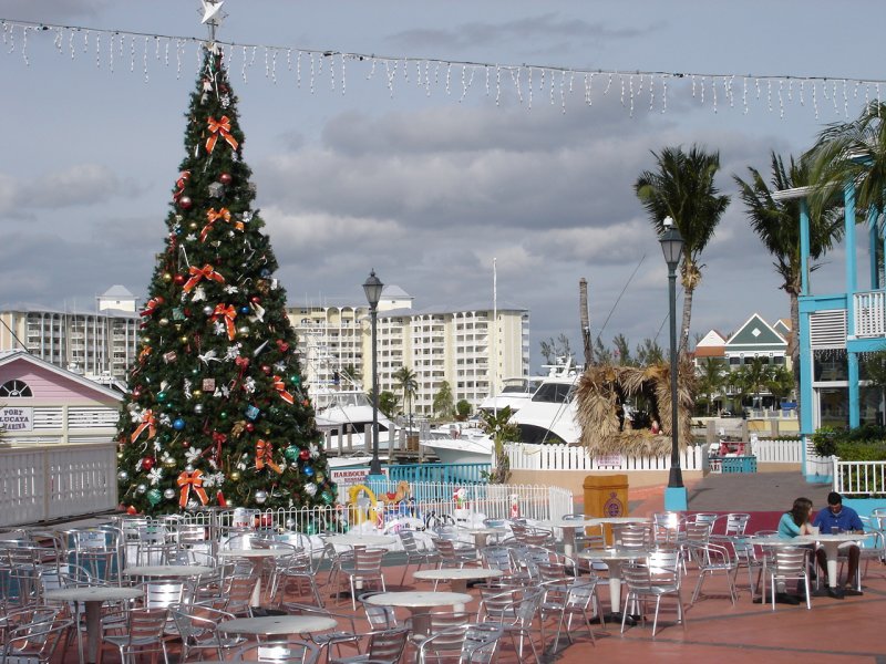 Christmas tree in the Bahamas